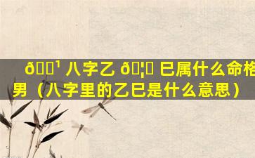 🌹 八字乙 🦟 巳属什么命格男（八字里的乙巳是什么意思）